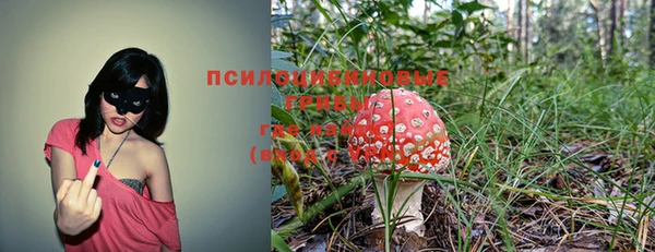 тгк Кинешма