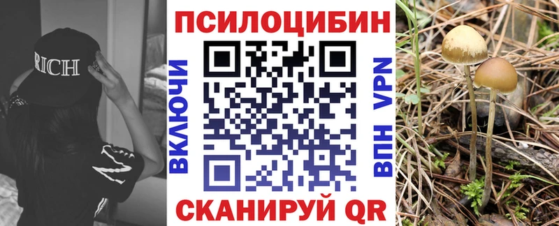 Купить закладки  Ворсма  Псилоцибиновые грибы мицелий 
